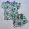 Dino Delight Cotton Co-ord Set for kids in Light Grey with Multicolour Dinosaur print - Front View.