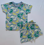 Dino Delight Cotton Co-ord Set for kids in Light Grey with Multicolour Dinosaur print - Front View.