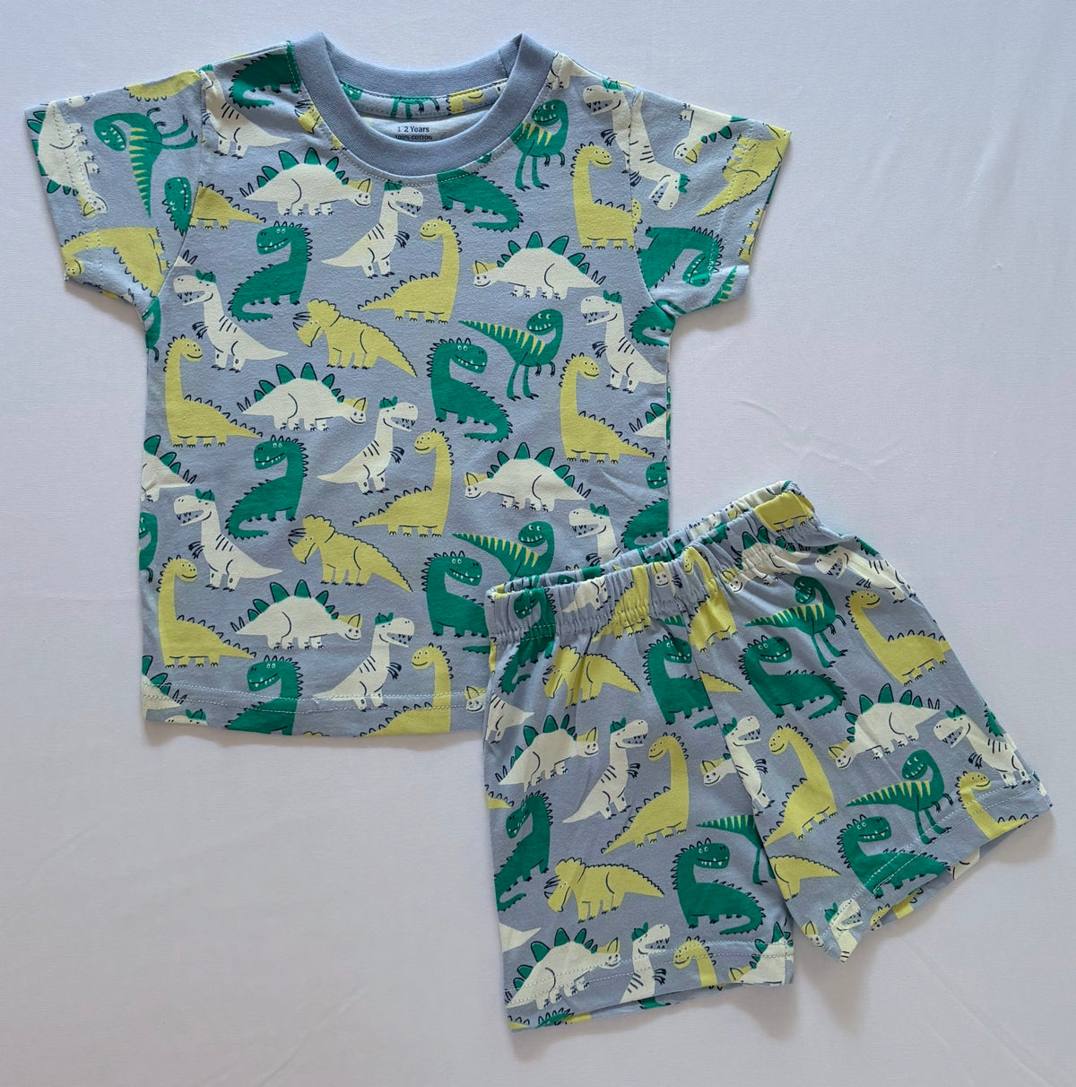 Dino Delight Cotton Co-ord Set for kids in Light Grey with Multicolour Dinosaur print - Front View.