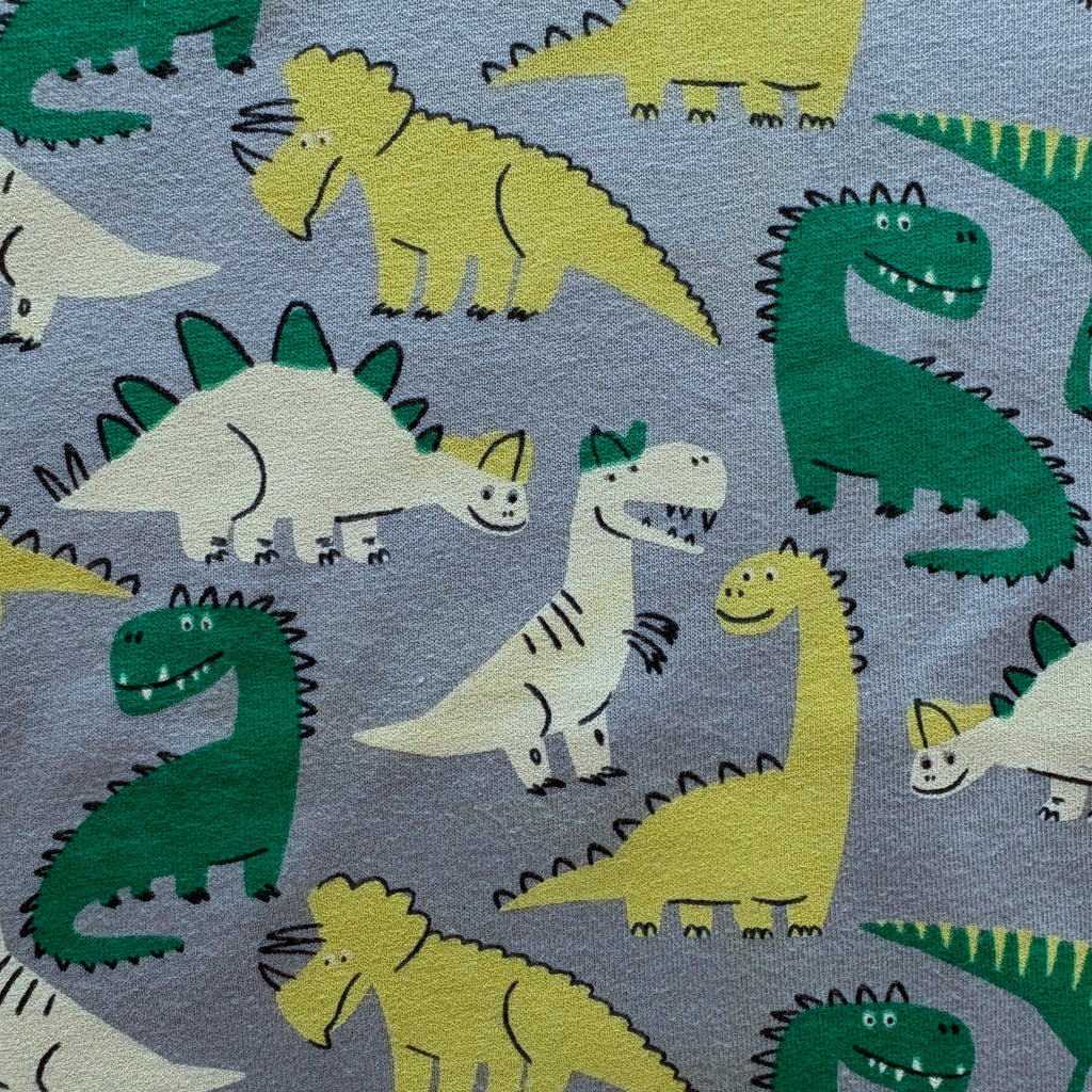 Close-up of the Multicolour Dinosaur print on the Dino Delight Cotton Co-ord Set.