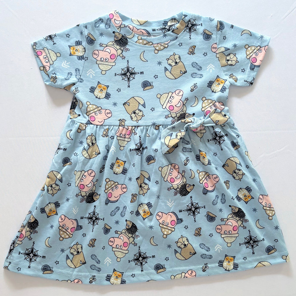 Adventure Trails Cotton Frock