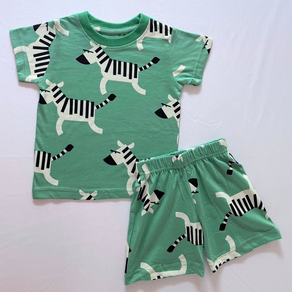 Zippy Zebra Cotton Co-ord Set for kids in Green with Zebra print - Front View.